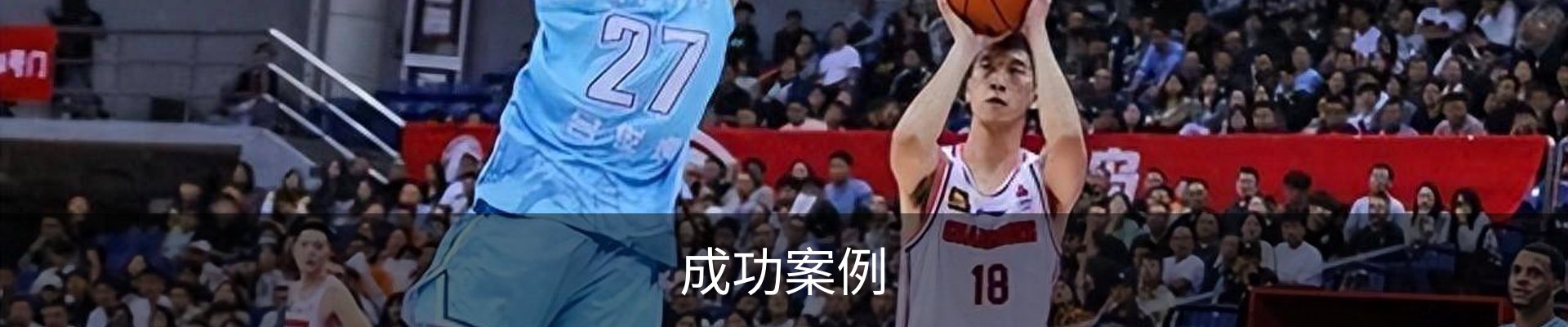 成功案例